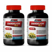 digestive cleanse - DANDELION ROOT 520MG - dandelion root extract 2B