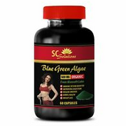 Detox supplements - BLUE GREEN ALGAE 500MG 1B- Spirulina extract