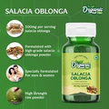 Organic Salacia Oblonga Extract 20:1 Capsules Saptrangi Control Blood Sugar
