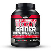 (9,60 EUR/kg) BWG Mega Muscle Weight Gainer 5000g- versch. Geschmäcker