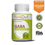 GABA 400mg Veg Capsules Gamma Aminobutyric Acid For Anxiety Stress Relaxation