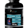 Glucosamine Sulfate Capsules - GLUCOSAMINE SULFATE 882mg - For Joint Health 1B
