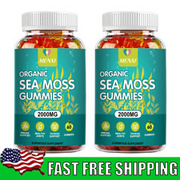 Organic Sea Moss Gummies-Apple Cider Vinegar, Bladderwrack, Burdock Root 120caps