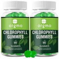 Chlorophyll Gummies - Sugar Free with Unfiltered ACV & Vitamin D &#8211; Energy