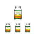 Biotech Nutritions Pure Corydalis Dietary Supplement 10:1 Extract 1000 mg 120...