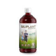 LIVING SILICA | SILIPLANT Organic Silicium 1L | Hair Joints Bone Skin | Collagen