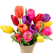 - Overnight Delivery - the Happy Bouquet- Farm Fresh Colorful Tulips - Ship Dire