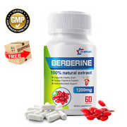 Berberine Capsules 1200mg - Blood Sugar Support,Cholesterol Health,Heat Health