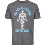 Golds Gym Muscle Joe T-Shirt - Grey/Turquoise, Large