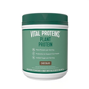 Vital Proteins Vegan Protein Powder – 20g Plant Based Protein with Chickpea – 1B CFU Probiotic for Gut Health, No Added Sugar – Chocolate, 16.5 oz