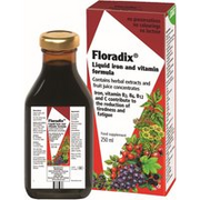 Floradix Liquid Iron Formula, 250ml
