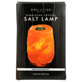 Evolution Salt Aromatherapy Salt Lamp - 1 Count