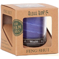Feng Shui Palm Wax Jar Candle Water Wealth 2.5 oz by Aloha Bay