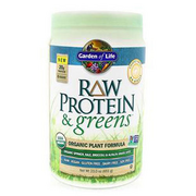 Raw Protein and Greens Chocolate 1 Tray by Garden of Life