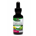 Nature's Answer Goldenseal Root - ORGANIC, 1 OZ