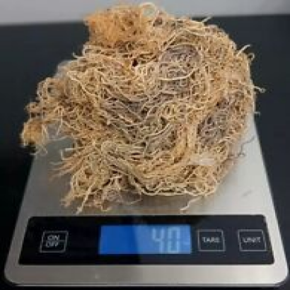 4 oz Honduran Like Raw Sea Moss (Chondrus Crispus) - Makes 96 Ounces Of Gel