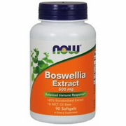 Boswellia Extract 500 mg 90 Softgels By Now Foods