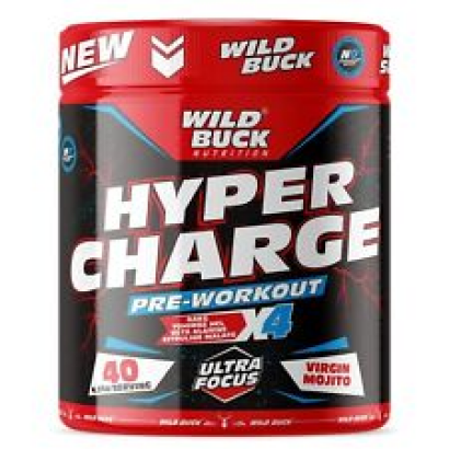 WILD BUCK Pre-X4 Pre-Workout Supplement Protein Powder  Virgin Mojito - 170gm