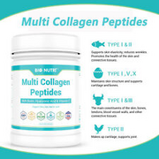 Multi Collagen Protein Powder Type I II II V X w/ Biotin VC Hyaluronic Acid 16oz