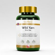 Pure Botanical Wild Yam Root Extract Tablets Natural Health UK