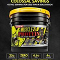 Colossal Labs Nutritional Whey Protein Powder, 162 Servings,