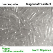 Leerkapseln magensaftresistent - Größe 3 - VEGAN - 100% Pharmaqualität - TR