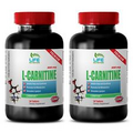 carnitine protein - L-CARNITINE 500mg 2 Bottles - kick start weight loss