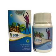 BSH Body Slimming Herb Orginal Capsule Dietary Supplement Weight Lose Fat Burner