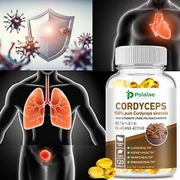 Cordyceps Sinensis 1000mg - Heart & Respiratory Health, Energy & immune Support