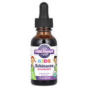 Kids, Echinacea Extract, Alcohol-Free, Raspberry, 1 fl oz (30 ml)