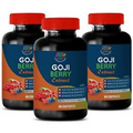 goji berries - GOJI BERRY EXTRACT 300mg - wolfberry goji berry - 3 Bottles