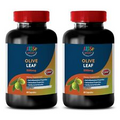 olive leaf capsules - OLIVE LEAF EXTRACT 500MG - digestive health 2B