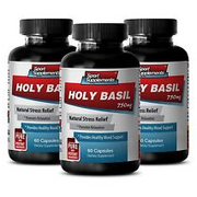 Memory Supplement - Holy Basil Extract 750mg - Boost Mood and Spirit Pills 3B