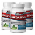 Ginkgo Biloba Tablets - Ginkgo Biloba Extract 120mg - Brain Support Booster  3B