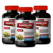 weight loss herbs - DANDELION ROOT 520MG - dandelion extract capsules 3B