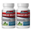 Ginkgo Biloba Powder - Ginkgo Biloba Extract 120mg - Anti-Oxidant Supplements 2B