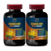 antioxidant revolution - DANDELION ROOT 520MG - dandelion 2oz 2B
