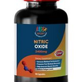 Bodybuilding Power - Nitric Oxide 2400mg - Muscle Pump Pill 1 Bottle 60 Capsules