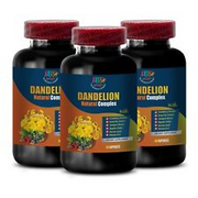 cholesterol pills - DANDELION ROOT 520MG - supplement vital nutrients 3B