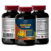 antioxidant anti aging - DANDELION ROOT 520MG - dandelion gifts 1B