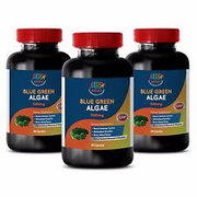 Blue Green Algae Powder - 500mg from Klamath Lake Antioxidant B12 (3 Bottles)