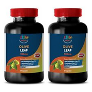 antiaging - OLIVE LEAF EXTRACT 500MG 2B - brain memory and concentration