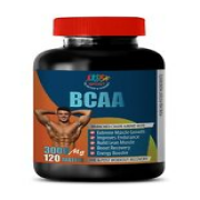muscle gain - BCAA 3000MG - leucine isoleucine and valine 1 BOTTLE