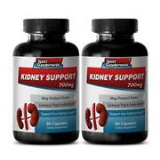 kidney health diuretic - KIDNEY SUPPORT 700MG - detoxifying supplement 2B