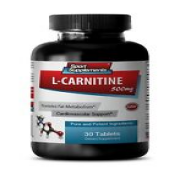 powerful neurotransmitter - L-Carnitine 500mg - exercise performance 1B