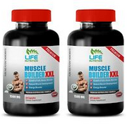 Beneficial For Concentration - Muscle Builder XXL 1500mg - L-Lysine HCL 2B