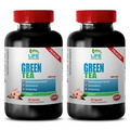 green tea weight loss - GREEN TEA EXTRACT 300mg - standardized 50% catechins 2B