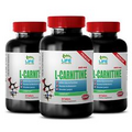 carnitine amino acid - L-CARNITINE 500mg 3 Bottles - workout supplement