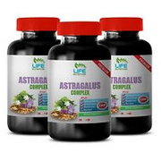 digestion fiber - ASTRAGALUS COMPLEX - amla extract 3B