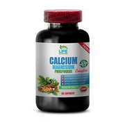 Optimal Bone Density: CALCIUM MAGNESIUM COMPLEX - 60 Caps - 1 Bottle